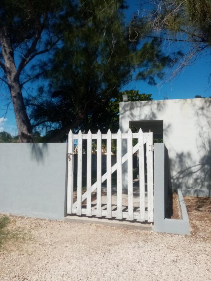 Cocolitos Sisal